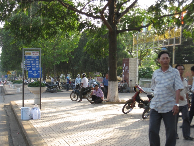 hoa viên thành phố...