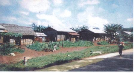 Đường Phan Chu Trinh năm 1965. Ảnh: T.L