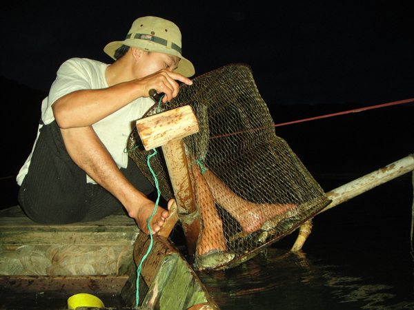 Việc đánh bắt cá chủ yếu diễn ra vào ban đêm.