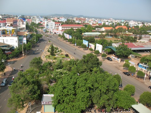 cây xanh  Ảnh: H.H