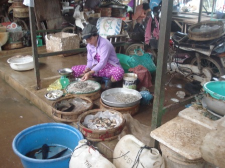 Đã quá trưa nên hàng cá không có khách vãng lai.