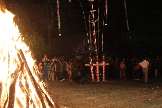 Con trâu bị hạ gục,