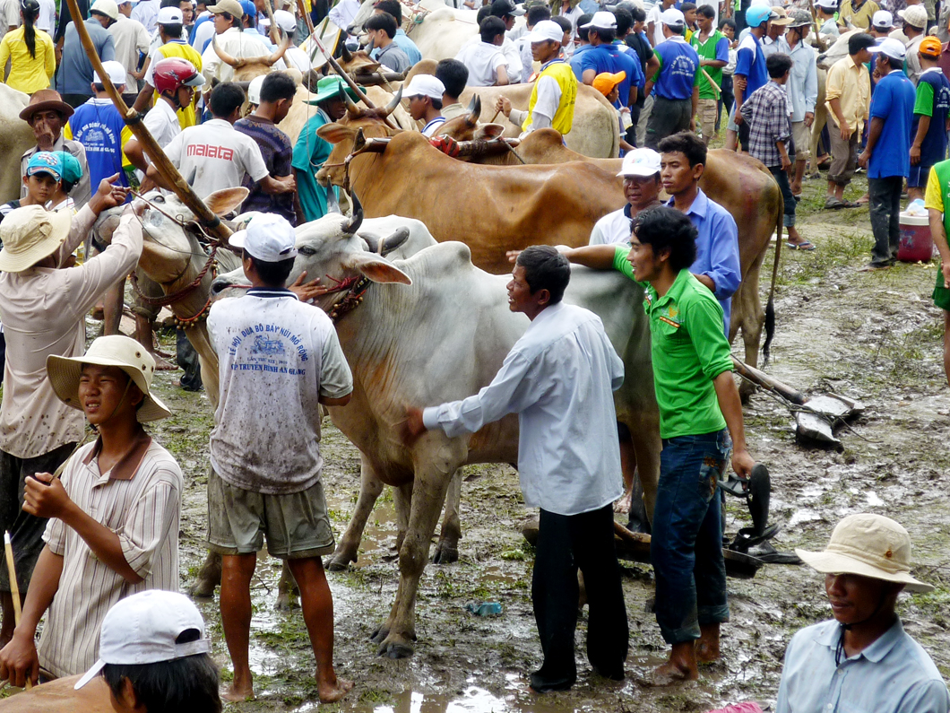 Trước khi vào cuộc đua nhiều người dân rất hồ hởi