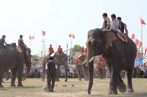Trọng tài bắt đầu giao bóng