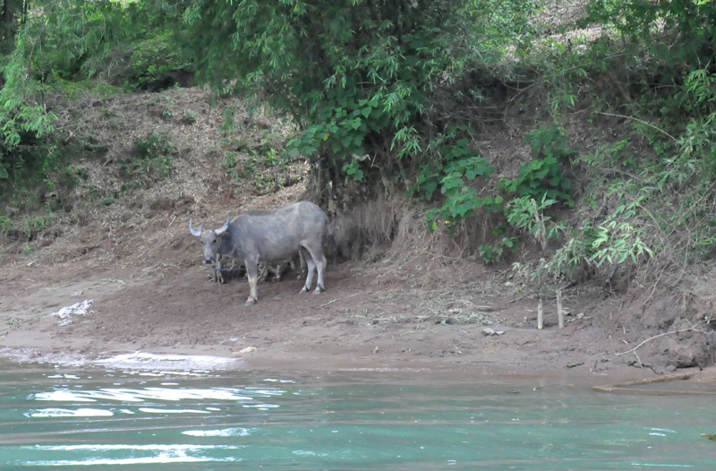 Dân chúng làng Na trước kia chủ yếu sinh sống bằng nghề nông