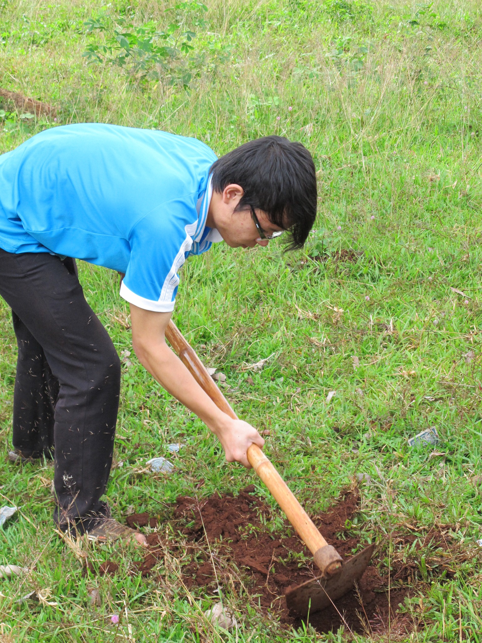 Nhiều bạn trai liền nhanh chóng đào hố trồng cây