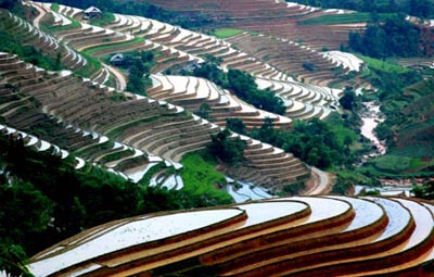 Ở xã Bản Luốc