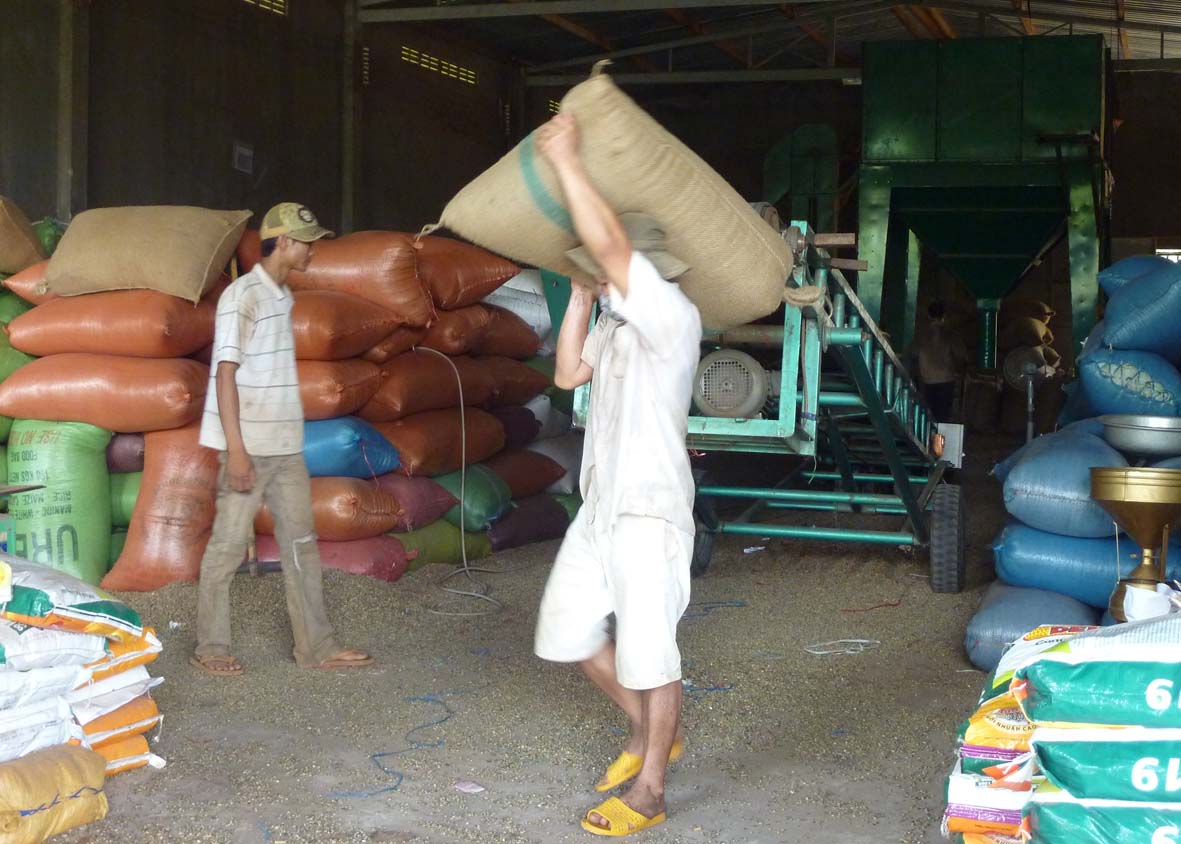 Vẫn thiếu biện pháp quản lý thuế hữu hiệu đối với lĩnh vực kinh doanh nông sản                                                             (ảnh minh họa).   