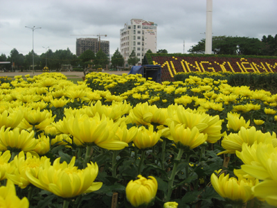 TP. Buôn Ma Thuột đẹp hơn với những con đường ngập sắc hoa xuân.