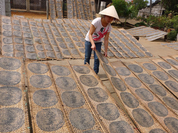 Trần Thị Thu Thanh đang kiểm tra độ khô của vỉ bánh tráng.