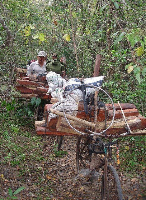 Xe đạp độ chế có thể chở được cả m3 gỗ