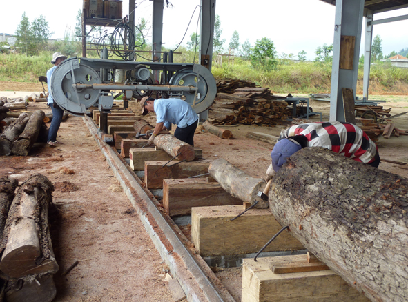 Do thiếu vốn, Công ty Cổ phần chế biến gỗ Trường Thành M’ Drak  chỉ tổ chức sản xuất cầm chừng.