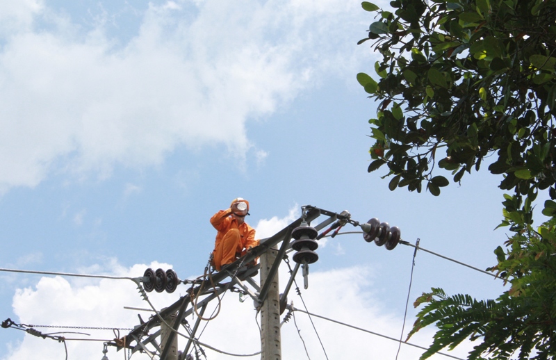 Tranh thủ uống nước trên đỉnh cột 