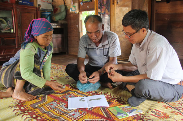 Vợ chồng Ay Khôi vẫn cất giữ những đồng bạc trắng như một thứ tài sản quý. 