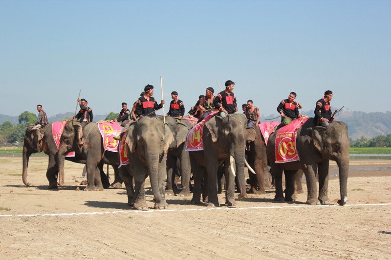 Tập kết trước khu vực đường đua