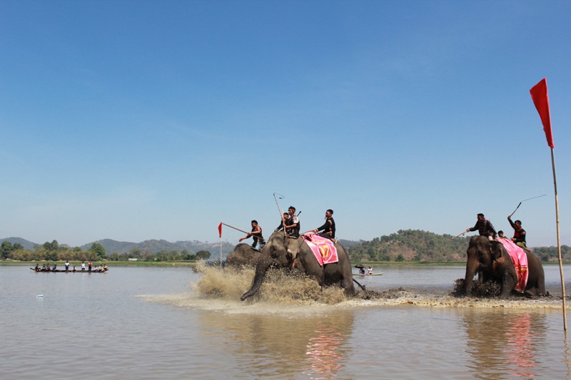 Voi H'Tâu (số 7) đã giành giải Nhì ở cả 2 nội dung đua