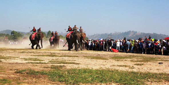 Những chú voi đang tăng tốc về đích.