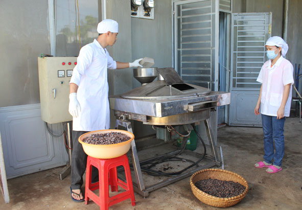 Sấy ca cao hạt tại Công ty TNHH Ca cao Nam Trường Sơn.