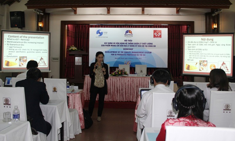 Chuyên gia của Liên minh Châu Âu trình bày ý kiến tại Hội thảo