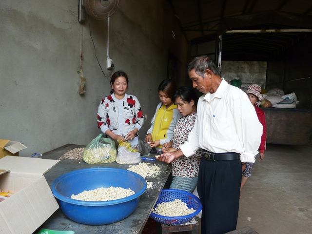 Hợp tác xã tách, bóc hạt điều của chị H’Ngoan B’Krông (buôn Tơng Jú).