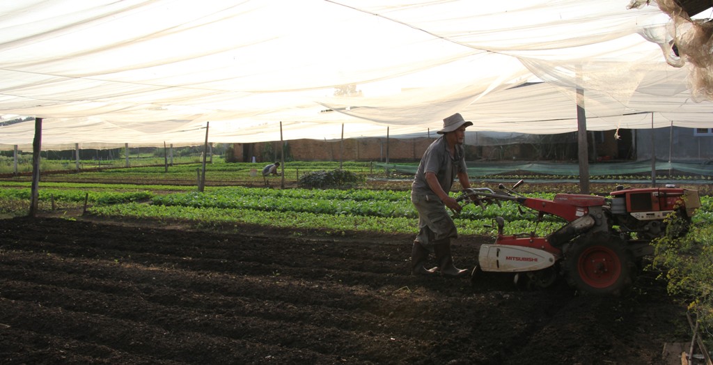 Sản xuất tại HTX Thuận Hòa (phường Khánh Xuân, TP. Buôn Ma Thuột)