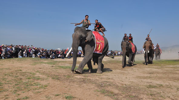 Hội voi Buôn Đôn luôn thu hút du khách.