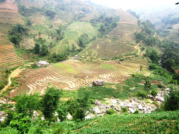  Khung cảnh hoang sơ của Hoàng Thu Phố.