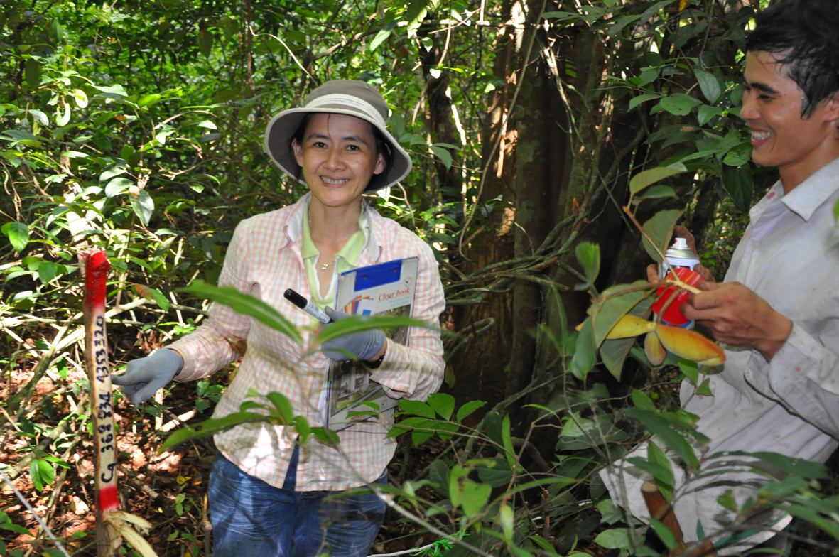 PGS.TS Nguyễn Thị Thanh Hương và cộng sự trong chuyến đi thực tế đánh giá chất lượng rừng.