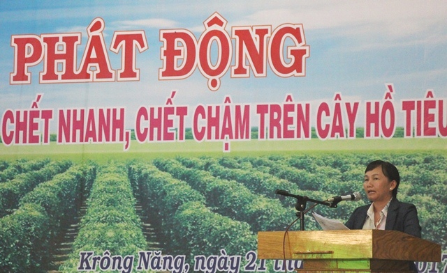 Bà Vũ Thị Thanh Bình, Phó Chi cục trưởng Chi cục Trồng trọt và Bảo vệ thực vật thông tin về tình hình dịch bệnh trên cây hồ tiêu toàn tỉnh cho người dân 