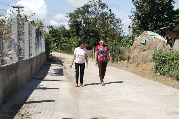 Đường giao thông nội thôn Liên Kết 2. 