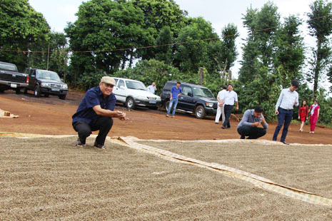 Du khách tham quan, tìm hiểu về mùa vụ cà phê tại huyện Cư M’gar. 
