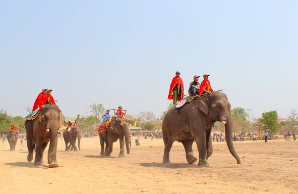 Lễ hội đua voi. Ảnh: N. Gia