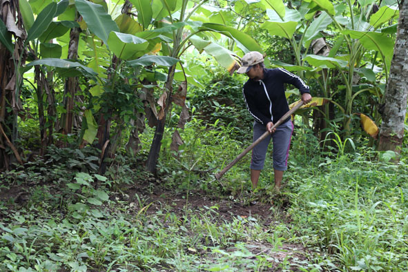 Trường hợp mắc bệnh sốt rét chủ yếu xảy ra ở những người dân sinh sống bằng nghề đi rừng, làm rẫy.