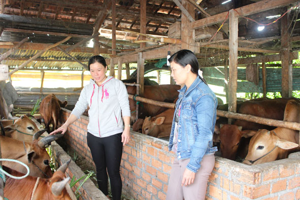 Chị Phạm Thị Thao (bìa trái) chia sẻ kinh nghiệm nuôi bò nhốt thâm canh. 