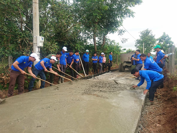 Thanh niên tình nguyện tham gia làm đường giao thông nông thôn  tại huyện Lắk (Ảnh do Tỉnh Đoàn cung cấp).