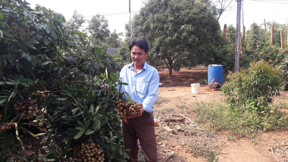 Anh Trần Trung Kiên đến thăm  một mô hình phát triển kinh tế  của hội viên trong xã. 