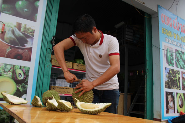 Một cơ sở thu mua sầu riêng ở phường Khánh Xuân, TP. Buôn Ma Thuột.