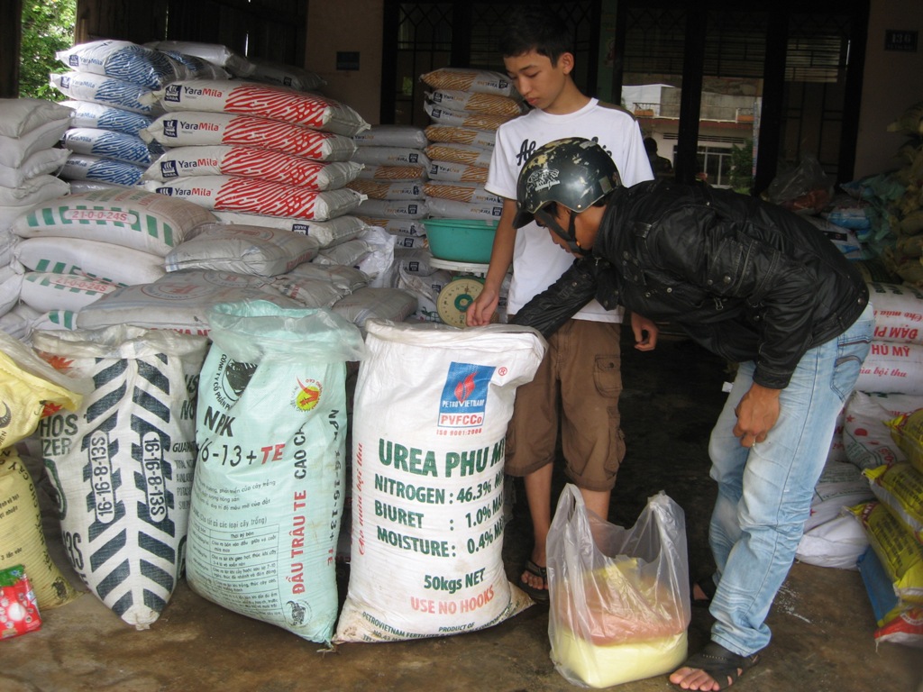Khách chọn mua phân bón tại một đại lý ở TP.Buôn Ma Thuột.