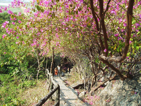 Lối mòn đến các hang động.