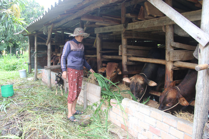 Thiếu vốn, chị Huỳnh Thị Cảnh, thành viên 