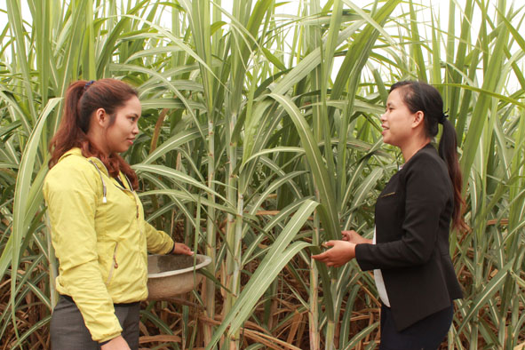 Cán bộ buôn Mlốc B, xã Krông Jing, huyện M'Đrắk (phải) kiểm tra tình hình sử dụng vốn vay ưu đãi của người nghèo trong buôn.