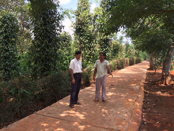 Một đoạn đường do hội viên CCB xã Ea Kpam đóng góp xây dựng. 