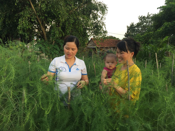 Chị Bế Thị Tươi (bên phải) giới thiệu với khách tham quan về mô hình trồng măng tây xanh của gia đình.