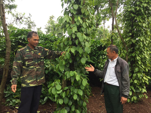 Ông Y Dhăm Êban (bên trái) giới thiệu về mô hình kinh tế của gia đình với cán bộ Hội Cựu chiến binh xã Ea Drơng.