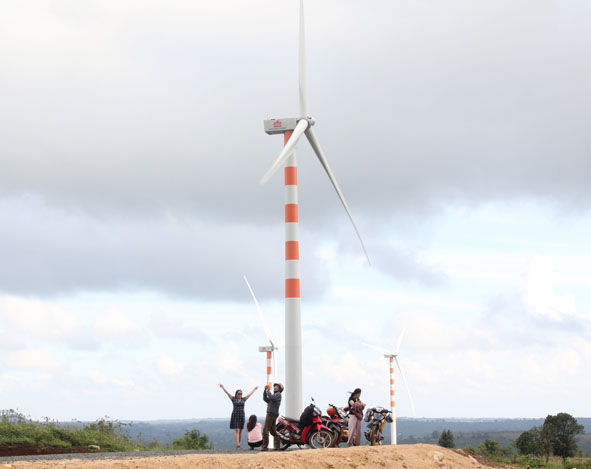 Một góc Trang trại phong điện Tây Nguyên.  