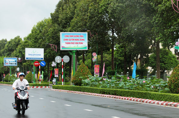 Sen hồng được trồng trên một số tuyến đường ở TP. Cao Lãnh.