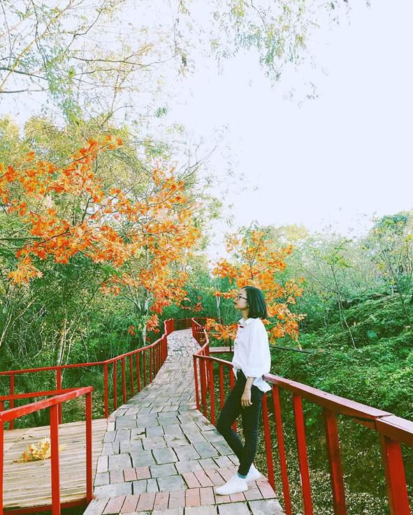 Trải nghiệm và tham quan Vườn lan Troh Bư (xã Ea Nuôl, huyện Buôn Đôn) là sản phẩm du lịch mới mẻ, hấp dẫn du khách.