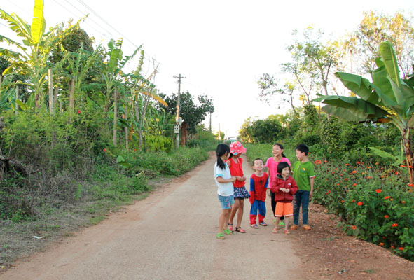 Đường giao thông thôn 5, xã Xuân Phú do Nhà nước và nhân dân cùng làm.