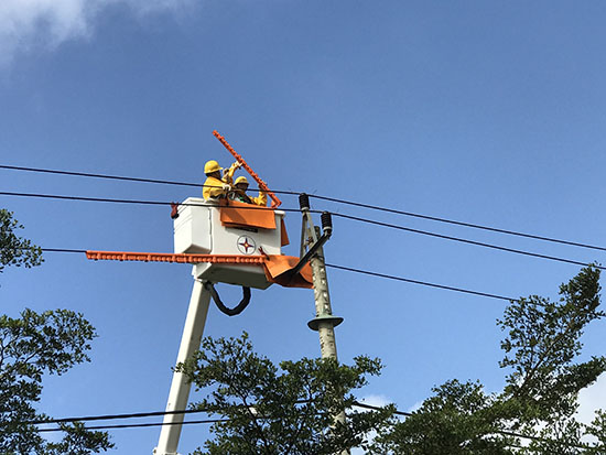 Đội Hotline 2 tiến hành thi công xử lý phóng điện