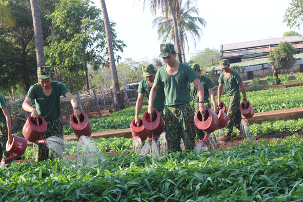 Tăng gia sản xuất ở Tiểu đoàn 303 (Trung đoàn 584, Bộ Chỉ huy Quân sự tỉnh).